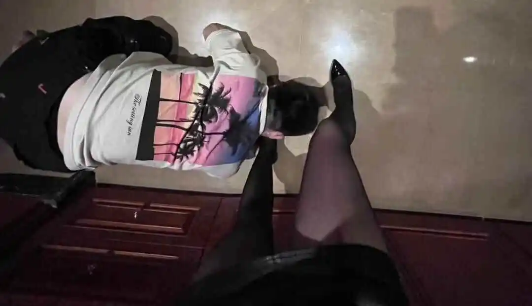 西檬之家k8猫系的魅力与实践指南 一