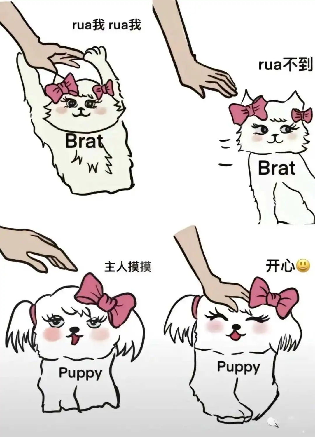 西檬之家Dirty Talk是什么?字母圈新手必读指南 一