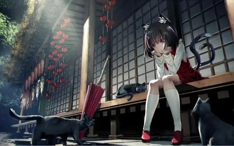 西檬之家K9是什么?它在字母圈中的真实含义是什么? 一