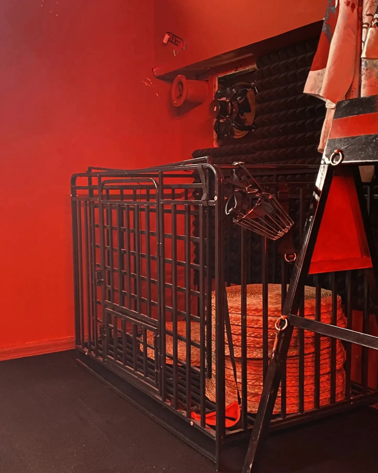 西檬之家sp小圈是什么?你的字母圈体验为何独特? 一