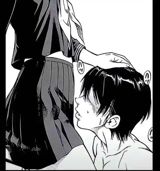 西檬之家s属性是什么?如何识别你的字母圈角色? 一