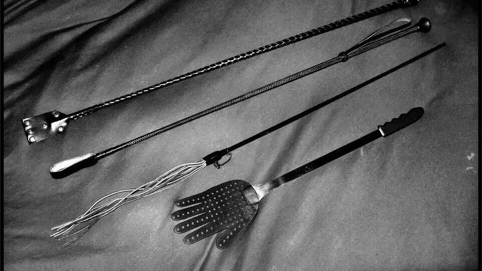 西檬之家m倾向是什么?你的字母圈特质如何影响关系? 一