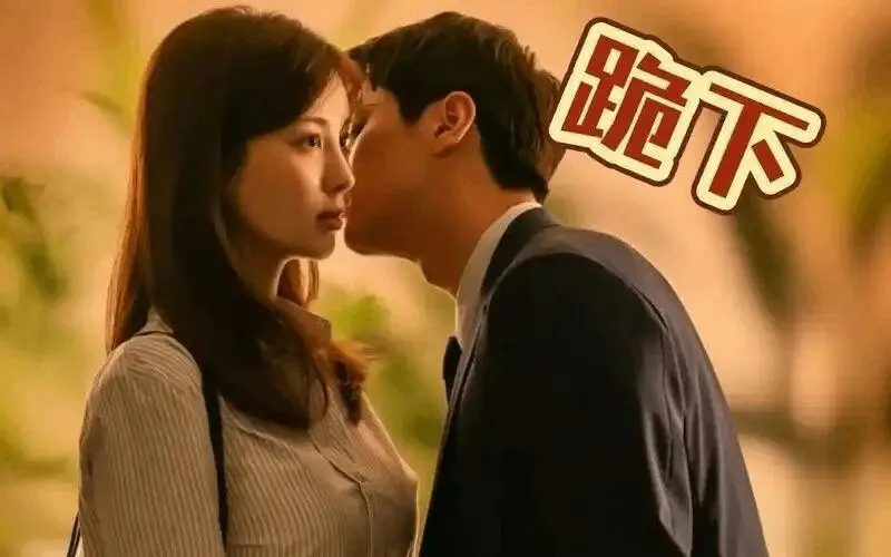 西檬之家k8猫系深入解析,你了解它的魅力吗? 一