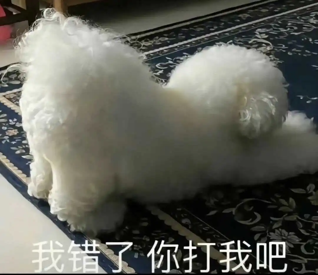 西檬之家s属性是什么?解密字母圈中的特殊角色与关系动态 一