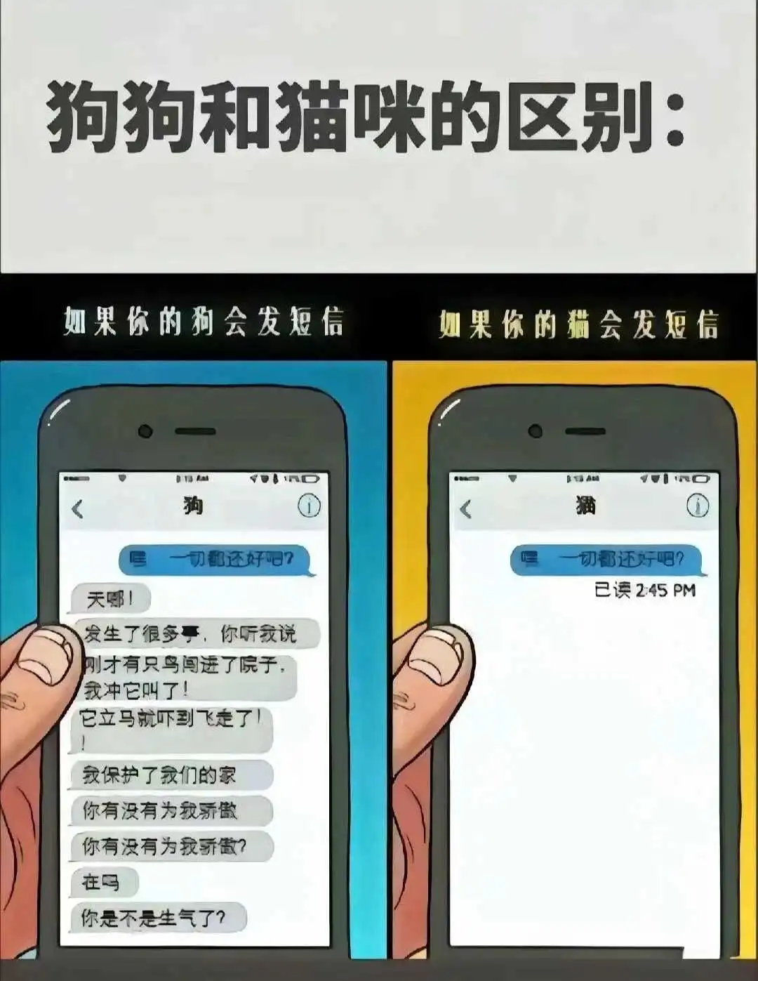 西檬之家m倾向解析 一