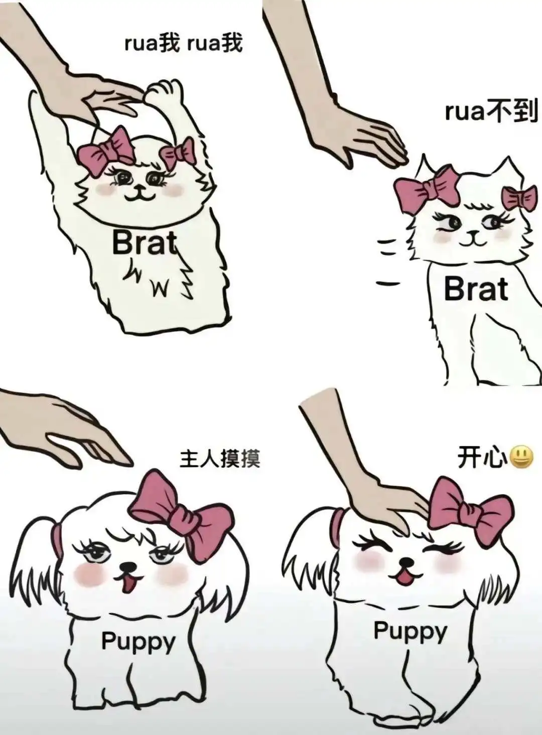 西檬之家Dirty Talk是什么?字母圈新人入门 一