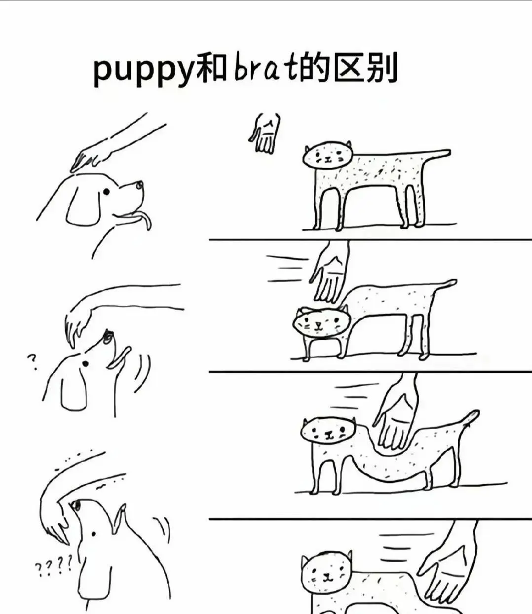 西檬之家k9犬系是什么? 一