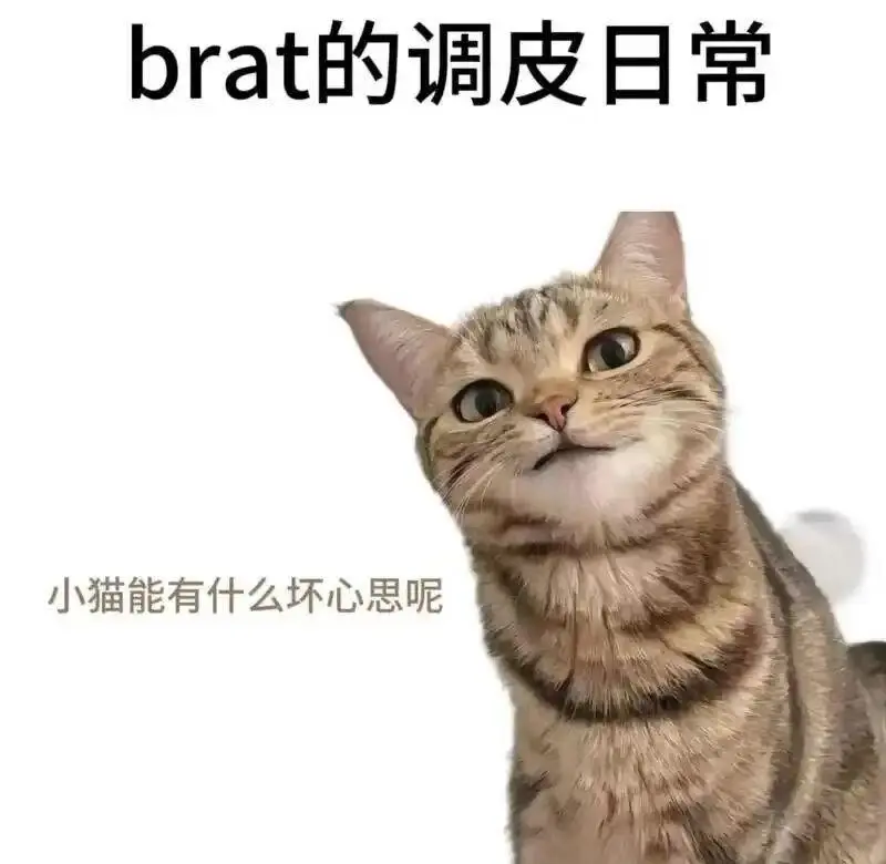 西檬之家圣水玩法是什么?字母圈新人如何安全入坑 一