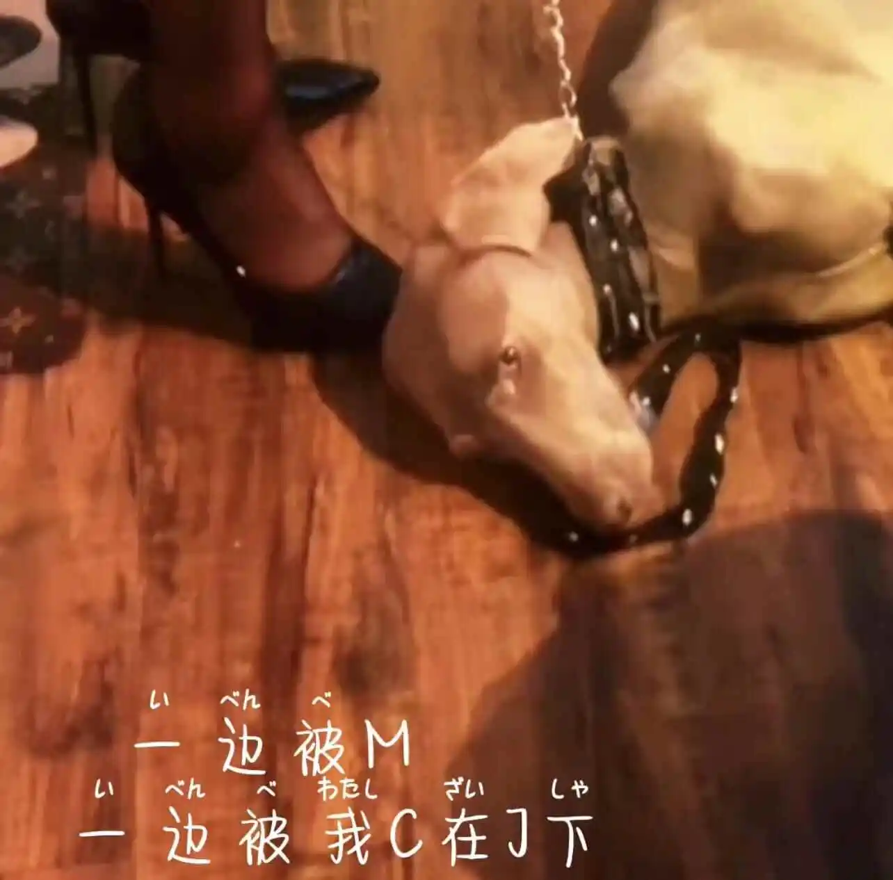 西檬之家字母圈的大圈 一
