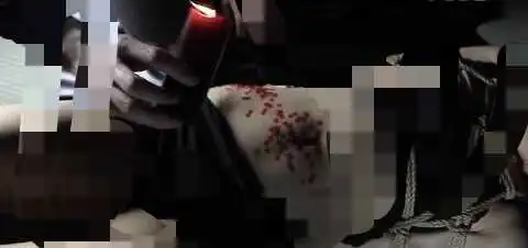 西檬之家TS在字母圈是什么意思? 一