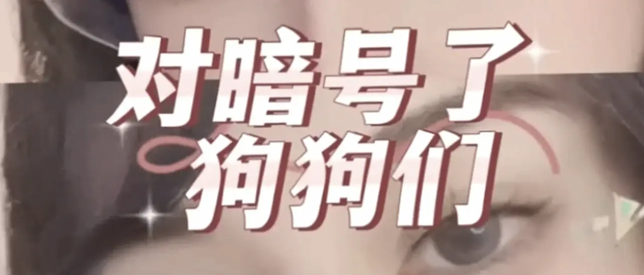 西檬之家字母圈switch是什么意思? 一